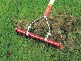 Lawn Dethatching | Lawn Maintenance Services